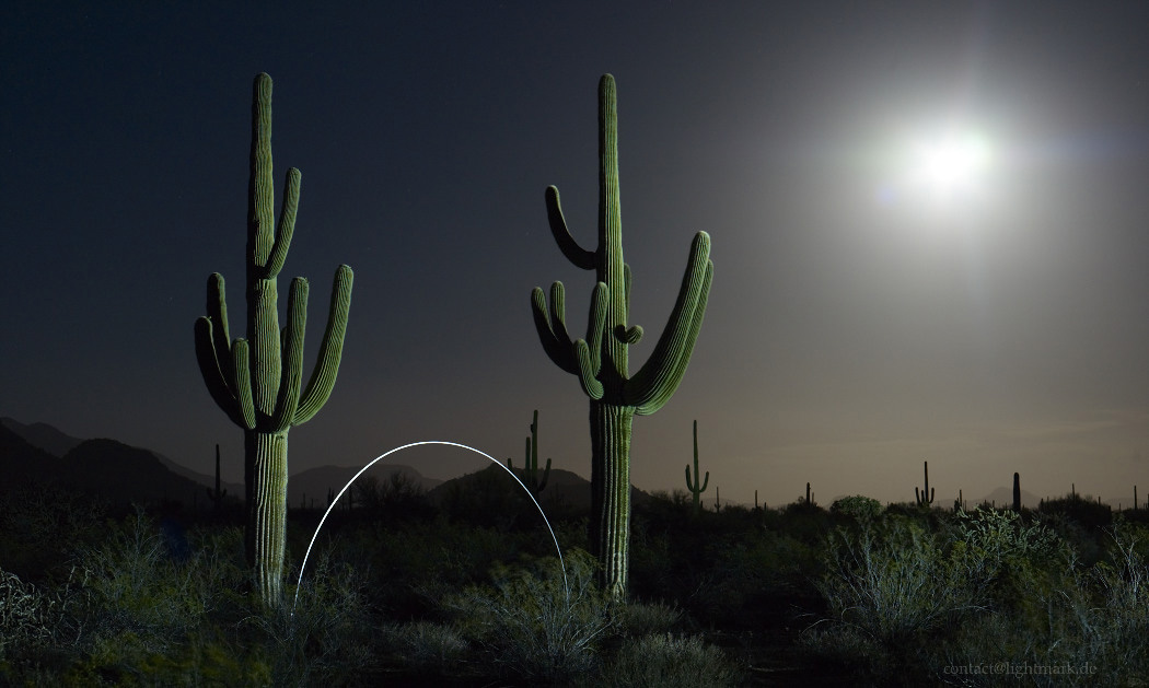 Lightmark No.111, Saguaro Cactus, Organ Pipe Cactus National Monument, Arizona, Light Painting, Night Photography.