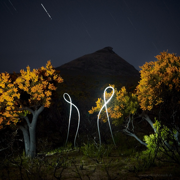 Lightmark No.84, Christmas Trees, Frenchman Peak, Cape Le Grand National Park, Australia, Light Painting, Night Photography.